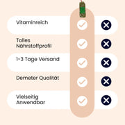 Bärlauch Nudeln