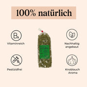 Bärlauch Nudeln