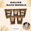 Dalias Back Bundle